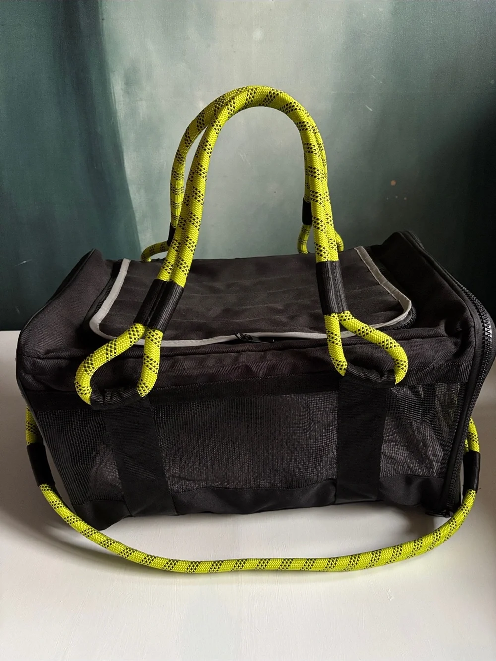 Roverlund Out Of Office Pet Carrier Large Airline Approved